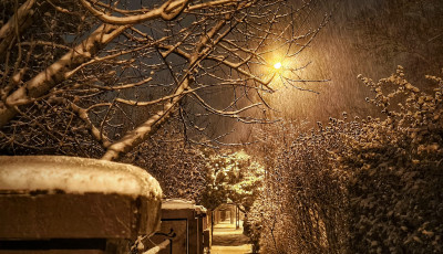 E.ON: Ker&uuml;lj&uuml;k a mos&oacute;g&eacute;p &eacute;s mosogat&oacute;g&eacute;p &eacute;jszakai haszn&aacute;lat&aacute;t &eacute;s a termoszt&aacute;t gyakori &aacute;ll&iacute;tgat&aacute;s&aacute;t